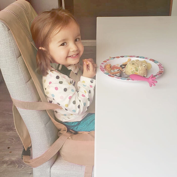 Water proof Travel high chair. Water proof Any where chair. My Big Boy/Girl Seat